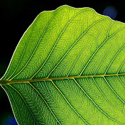 Profile Picture of Hannah Ludwig (@hannahludwig9449) on Youtube