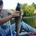 Profile Picture of Jeffery Cantrell (@jeffery.cantrell.9) on Facebook