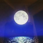 Profile Picture of Shea hughes (@sheahughes13) on Instagram