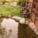 Profile Picture of najla abdulrahman (@abdulrahmannajla) on Instagram