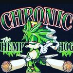 Jason Hartman - Instagram Profile Picture of Jason Hartman (@kronik_da_hemp_hog) on Instagram