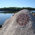 Profile Picture of Joann Gamble (@joann.gamble.754) on Facebook