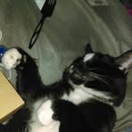 Profile Picture of Ravan Bradley (@Ravan-Bradley) on Facebook