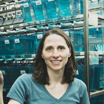 Profile Picture of Meredith Wilson (@MHWilson2) on Twitter