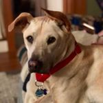 Profile Picture of Oliver (@oliver.bailey.2019) on Instagram