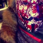 Profile Picture of Max Herbert (@herbelpatron) on Instagram
