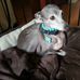 Profile Picture of Malcolm Perdue (@malcolm.perdue.1) on Facebook