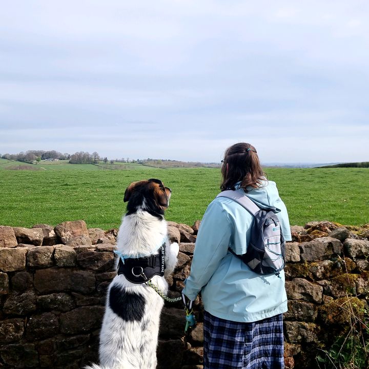 Profile Picture of Bri and Misha (@goose.and.dog) on Tiktok