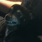 Profile Picture of Lisa Cahill McCroy (@lisamccroy) on Instagram