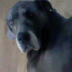 Profile Picture of Squire Cella (@squire.cella) on Facebook