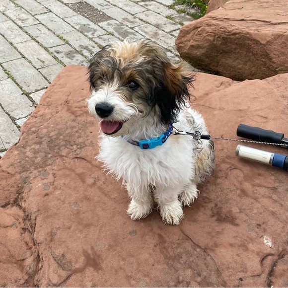 Ruby Mccormick - Poshmark Profile Picture of Ruby Mccormick (@rubymccormic870) on Poshmark