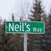 Profile Picture of Neil Schulz (@schulznt) on Pinterest