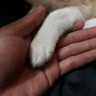 Profile Picture of Peter Armendáriz (@PeterArmendriz3) on Twitter