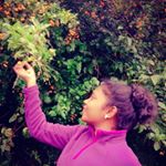 Profile Picture of Rhoda Kim✨ (@the_rhodakim) on Instagram