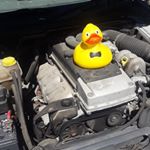 Profile Picture of Barry the Barra (@mk3barry) on Instagram