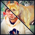 Profile Picture of Daniel Riddle (@danthepitbullman) on Instagram