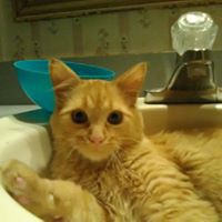 Profile Picture of Josh Earp (@josh-earp-5) on Quora