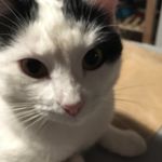 Profile Picture of Colette Colonge (@colettecolonge) on Instagram