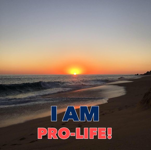 Kelly Berhost - Poshmark Profile Picture of Kelly Berhost (@kellyberhost) on Poshmark