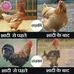 Profile Picture of Usha Suresh (@usha.suresh.12720100) on Facebook
