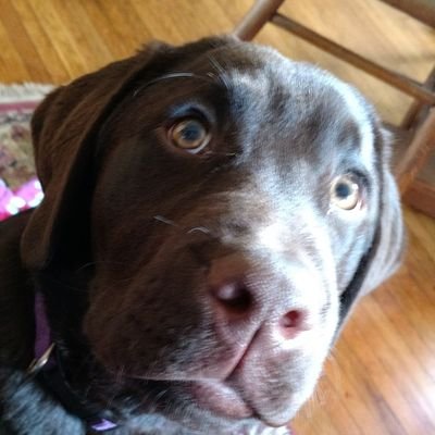 Profile Picture of Michael James Casteel (@Michael04363471) on Twitter