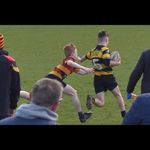 Profile Picture of adam healy (@ahealy709) on Instagram