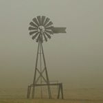 Profile Picture of ☆ ☽ ☁ Or du temps ☼ ☂ ✿ (@jeandaniellephotos) on Instagram