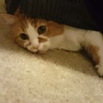 Profile Picture of Vicky Guzman (@vicky_the_senior) on Instagram