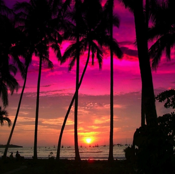 Paula Gillander - Poshmark Profile Picture of Paula Gillander (@pebbles0012) on Poshmark