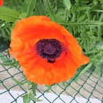 Profile Picture of Marlene Clark (@marleneclark9) on Instagram