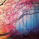 Profile Picture of Друченко Анна (@druchenkoanna) on Instagram