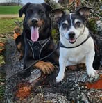 Profile Picture of Isabelle Harnist (@isabelle.harnist.7) on Facebook