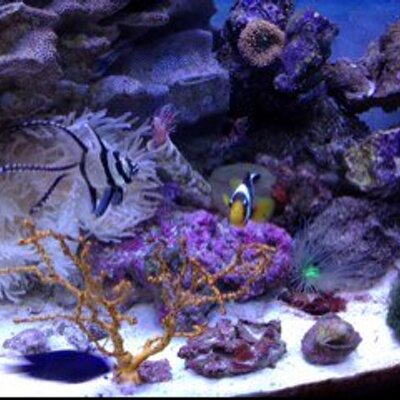 Profile Picture of David Hukill (@thindizz) on Twitter