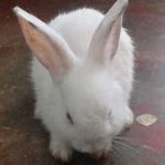 Juan David - Instagram Profile Picture of Juan David (@gonzalez.cattleya) on Instagram