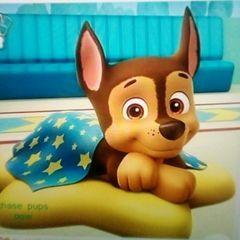 Profile Picture of Markus Platter (@markusplatter) on Tiktok