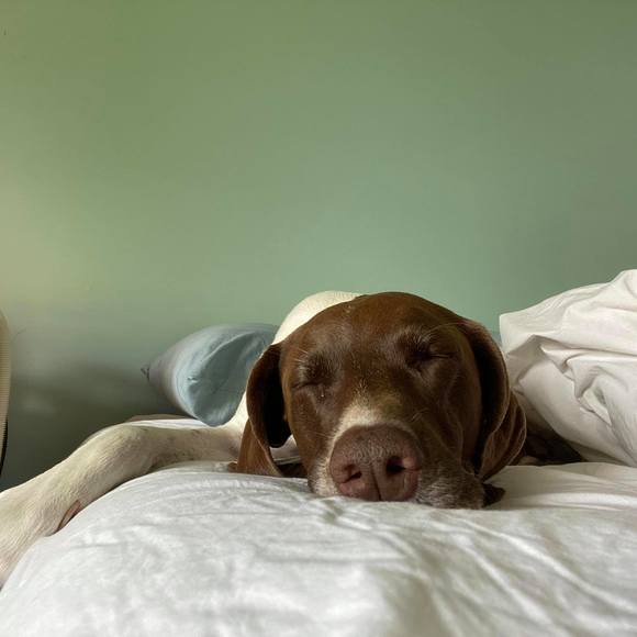 Profile Picture of Danielle Hurt (@peacheshurt) on Poshmark