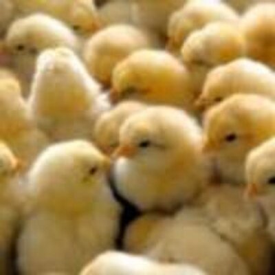 Profile Picture of Eric Shoemaker (@Doccit) on Twitter