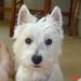 Profile Picture of Loretta Overmann (@rubydoobee) on Pinterest