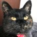 Profile Picture of Laureen McFall Alexander (@laureen.mcfall.39) on Facebook
