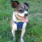 Profile Picture of Kevin Space Bacon (@kevinspacebacon) on Instagram