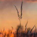 Profile Picture of Mandy Chau (@mandy.chau.3597) on Instagram