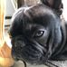 Profile Picture of Andre Ferland (@andre.ferland.549) on Facebook
