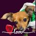 Profile Picture of Sharmila Kumar (@sharmila.kumar.982) on Facebook