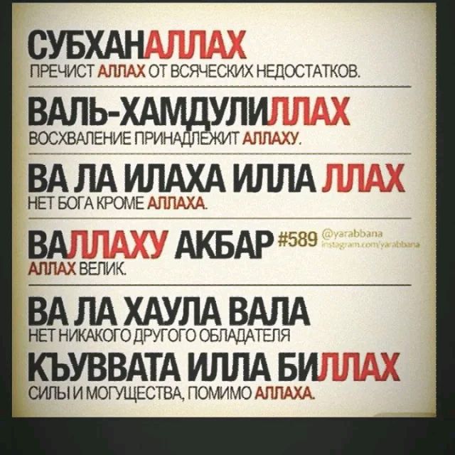 Profile Picture of Dragon rays (@dragonrays3) on Tiktok