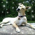 Profile Picture of brenda lucier (@lucier.brenda) on Instagram