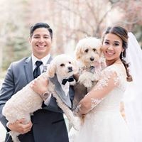 Profile Picture of Lisa Gallegos (@lisa-gallegos-22) on Quora
