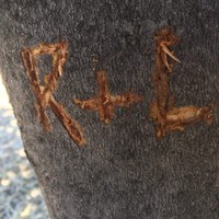 Profile Picture of Rusty Inman (@rusty-inman-1) on Quora