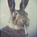 Profile Picture of Daniel Everts (@deverts3) on Pinterest