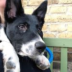 Profile Picture of Theodore Roy (@have.you.met.ted) on Instagram