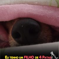 Profile Picture of Ariane Silveira Costa (@ariane-silveira-costa) on Quora